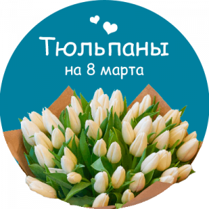 Купить тюльпаны в Черноголовке